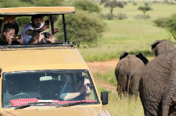 4-days-wildlife-safari